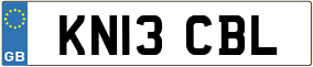Trailer License Plate
